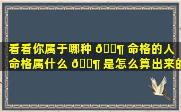 看看你属于哪种 🐶 命格的人（命格属什么 🐶 是怎么算出来的）